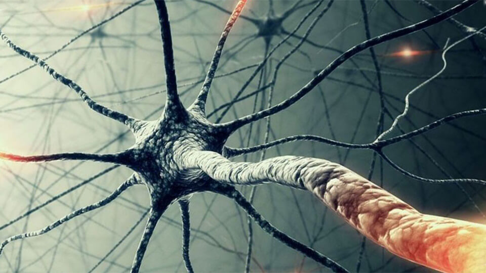 Что такое искусственная нейронная сеть
